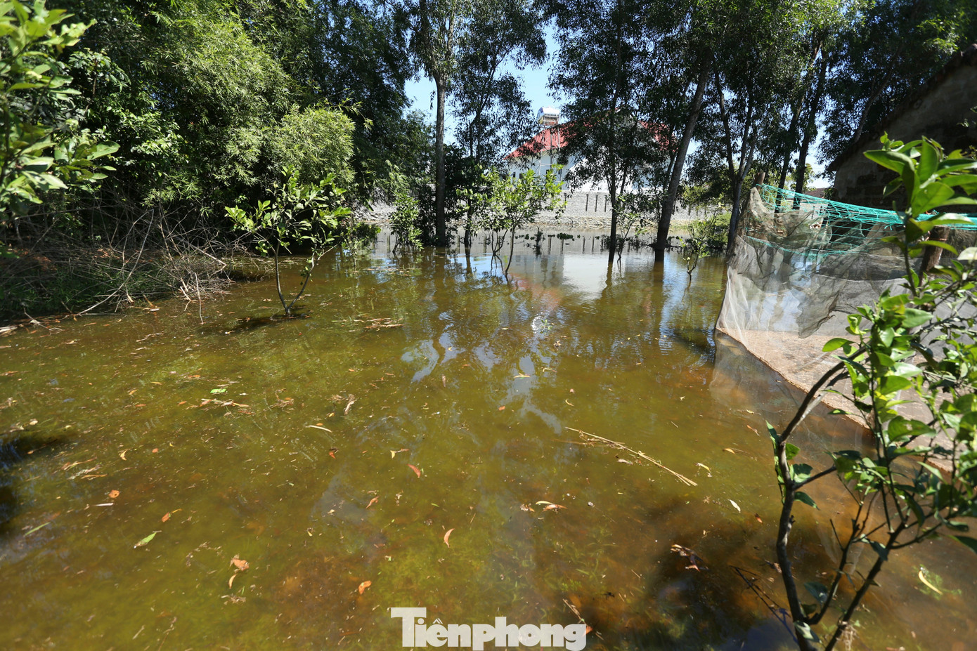 Nước ngập từ ngoài vườn đến trong nhà cuộc sống người dân đảo lộn. Họ mong chính quyền địa phương có phương án xử lý triệt sự cố để người dân yên tâm sinh sống.