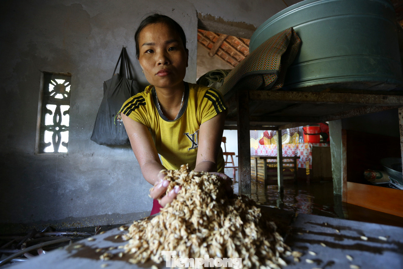 Người phụ nữ buồn bã bốc từng nắm thóc bị ngâm nước lên để phơi sẩy cho gia súc ăn.