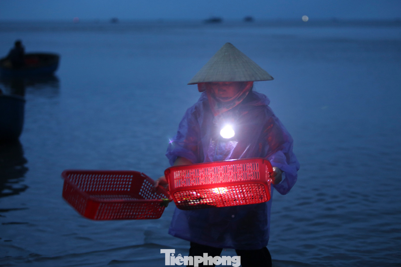 Mỗi người đến chợ đều mang theo đèn pin để đón tàu thuyền vào bờ, lựa chọn hải sản tươi ngon nhất.