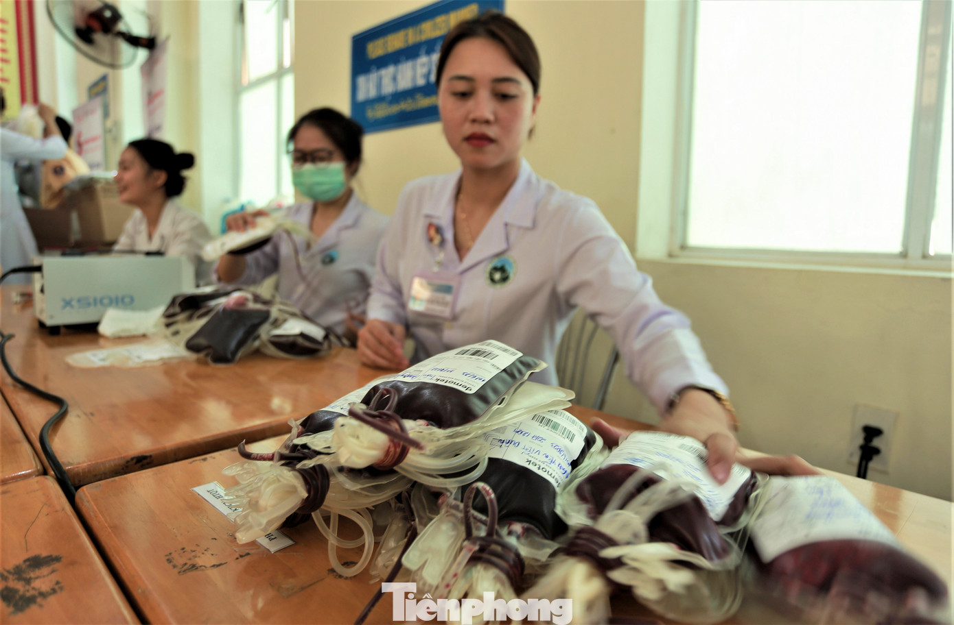 Các đơn vị máu sau đó được nhân viên y tế phân chia ra thành nhóm máu, lượng máu phù hợp về các kho máu ở các bệnh viện trên địa bàn.