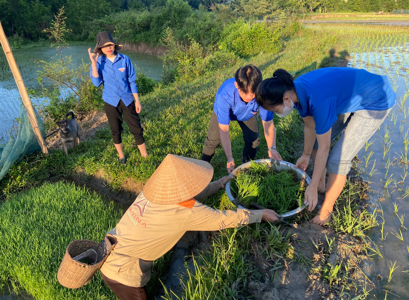 Các đoàn viên thanh niên không quản ngại bùn đất lầy lội hay nắng nóng khó nhọc để nhiệt tình giúp đỡ người dân.