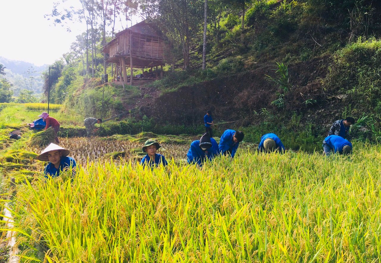 Tính đến ngày 21/6/2023, nhờ sự nỗ lực trong công tác phối hợp giữa các cấp bộ Đoàn và công an địa phương, toàn tỉnh đã “phủ xanh” được 830.753 tài khoản định danh điện tử. Trong thời gian tới, tuổi trẻ toàn tỉnh sẽ tiếp tục nỗ lực triển khai với quyết tâm cao “đi từng ngõ, gõ từng nhà, rà từng người dân” nhằm hoàn thành chỉ tiêu đã đề ra, thể hiện tinh thần xung kích, vai trò tiên phong của đoàn viên, thanh niên trong thực hiện Đề án 06 của Chính phủ và các hoạt động chuyển đổi số cộng đồng.