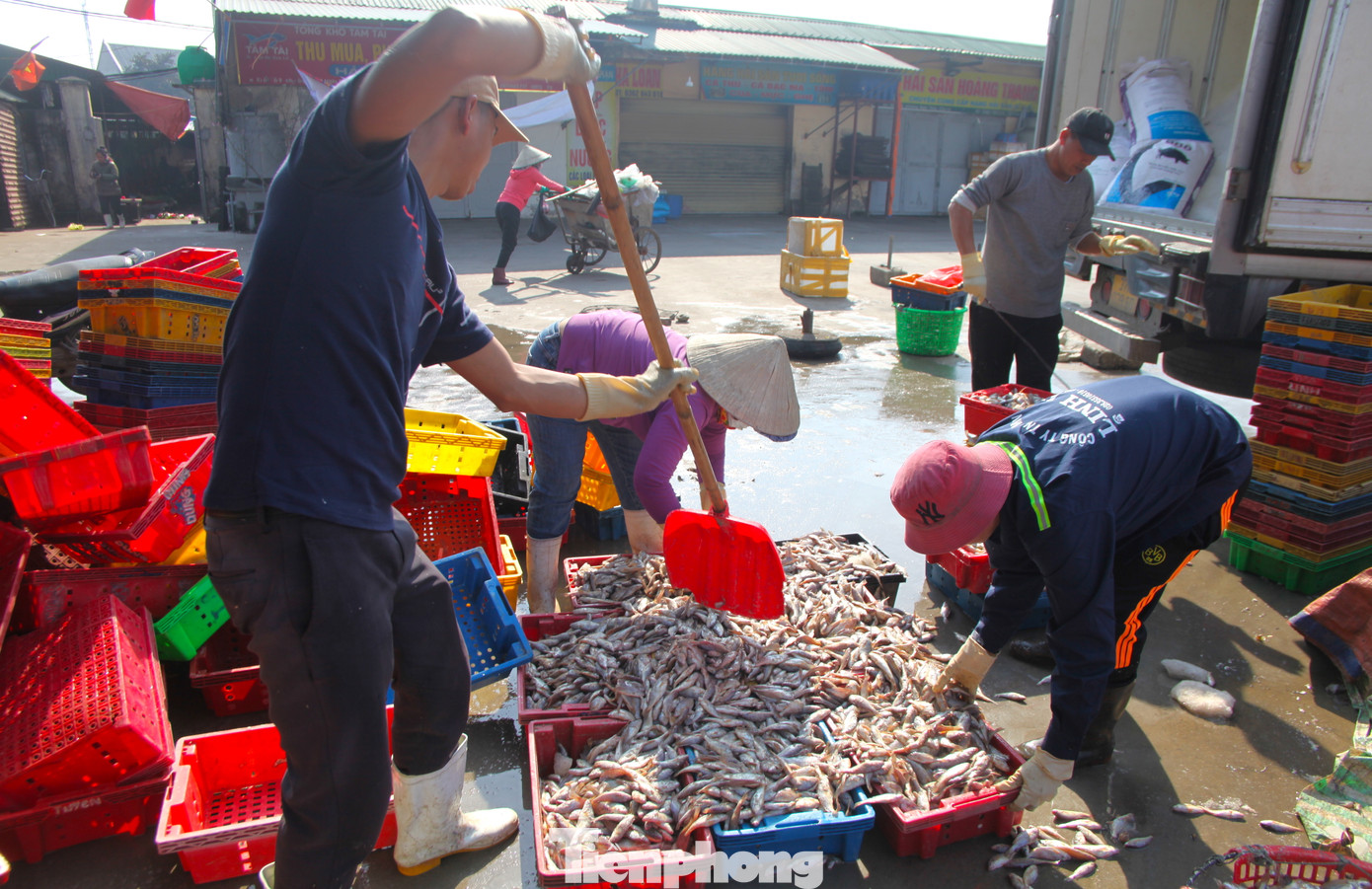 Trung bình mỗi ngày, một lao động có thể kiếm được 300-400 nghìn đồng tùy vào từng bữa thuyền vào nhiều hay ít. Có ngày các lao động làm nhiều sẽ kiếm được nhiều hơn. Nhưng những ngày biển động, không có tàu ra khơi các lao động không có việc làm. Trung bình mỗi ngày, một lao động có thể kiếm được 300-400 nghìn đồng tùy vào từng bữa thuyền vào nhiều hay ít. Có ngày các lao động làm nhiều sẽ kiếm được nhiều hơn. Nhưng những ngày biển động, không có tàu ra khơi các lao động không có việc làm.