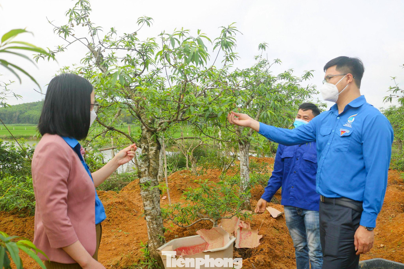Tại huyện Yên Thành, anh Phạm Văn Toàn - Phó Bí thư Thường trực Tỉnh đoàn Nghệ An cùng đoàn công tác đã trao tặng vốn vay hỗ trợ thanh niên phát triển kinh tế trồng đào thế tại xã Kim Thành.