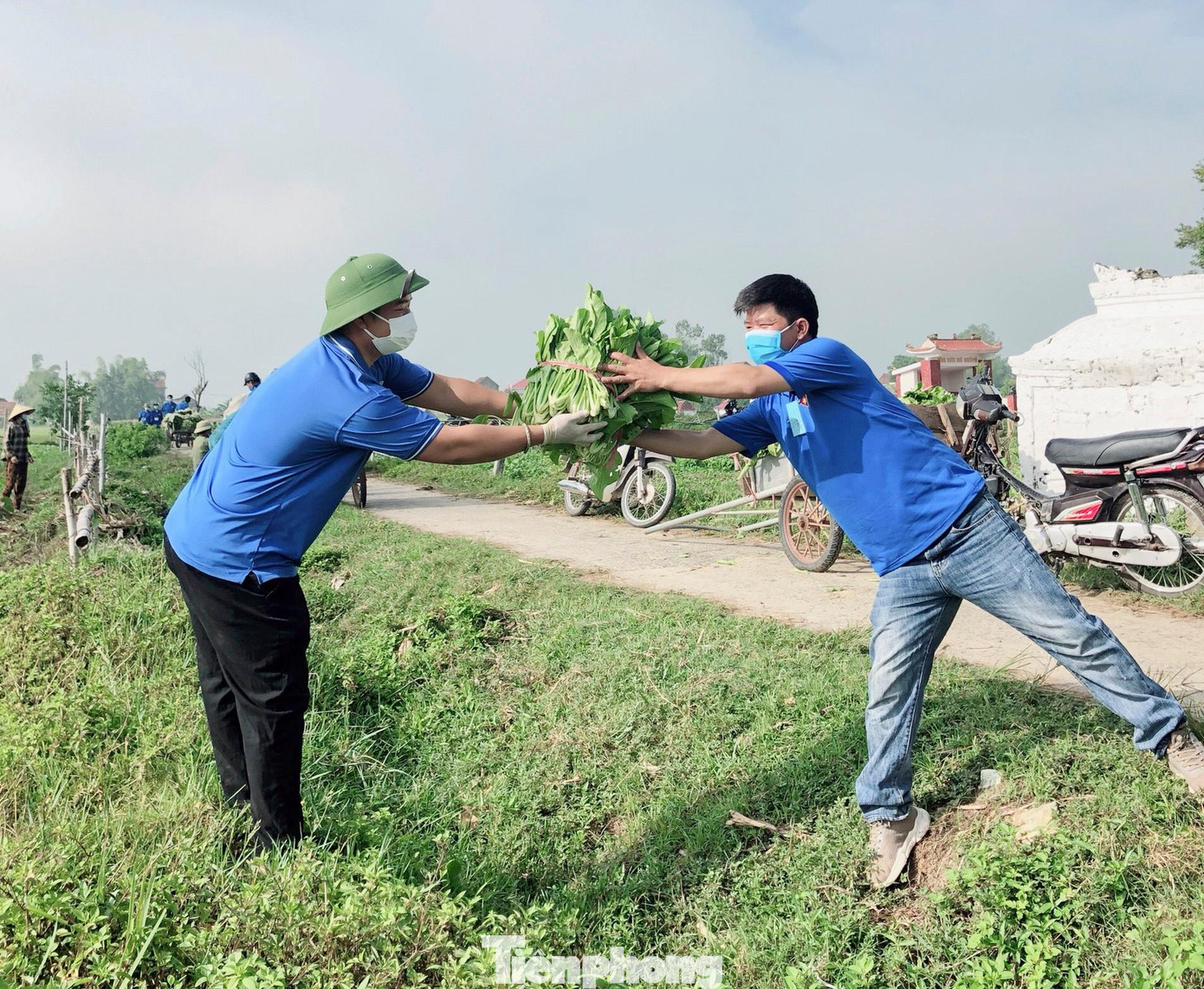 Với sự tham gia của 50 đoàn viên, thanh niên tình nguyện nên chỉ trong một buổi sáng, vựa sau ở xã Nghi Thuận đã thu hoạch và tiêu thụ được 22 tấn rau xanh. Với sự tham gia của 50 đoàn viên, thanh niên tình nguyện nên chỉ trong một buổi sáng, vựa sau ở xã Nghi Thuận đã thu hoạch và tiêu thụ được 22 tấn rau xanh.