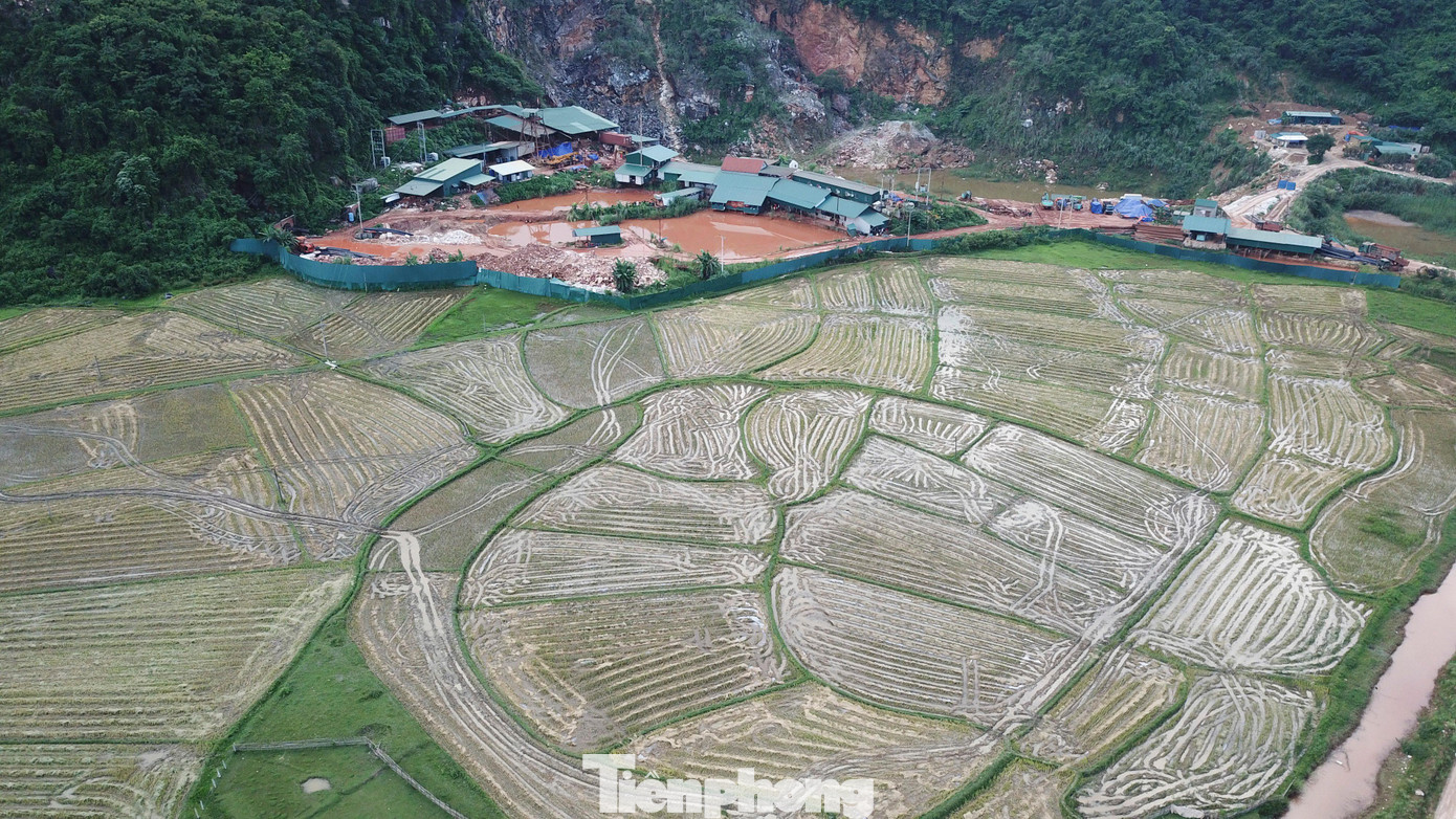 Thực trạng sụt lún, nứt nẻ đất, nhà cửa của người dân xã Châu Hồng, huyện Quỳ Hợp bắt đầu xuất hiện từ cuối năm 2020, thời gian này chỉ xảy ra ở diện tích đất ruộng lúa.