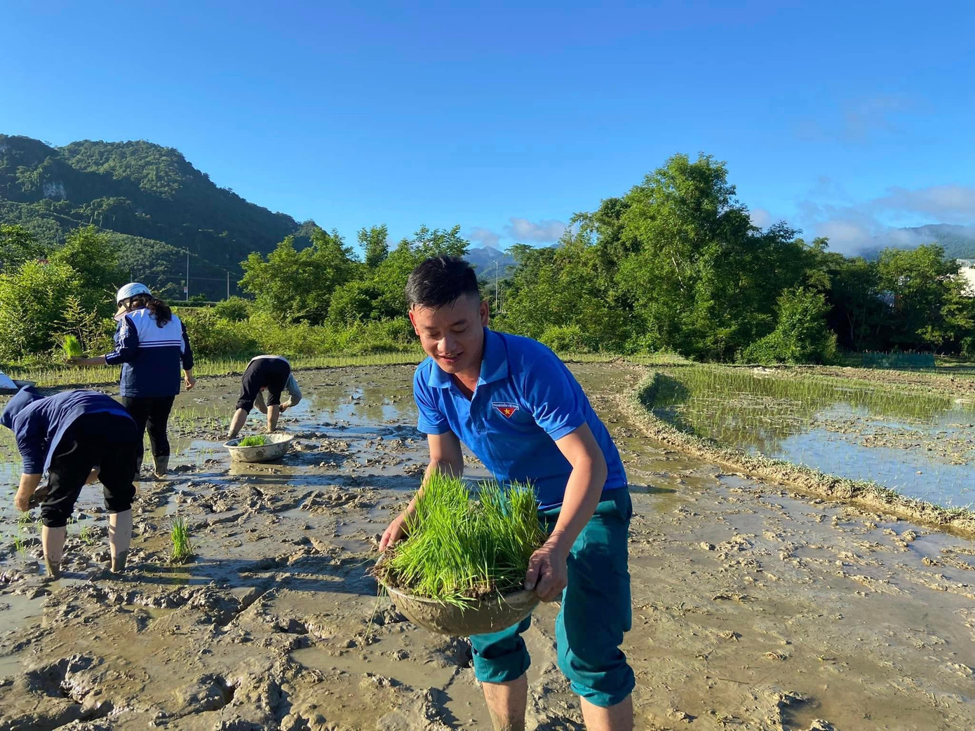 Vận chuyển từng thúng mạ non đến ruộng để cấy giúp các gia đình chính sách.