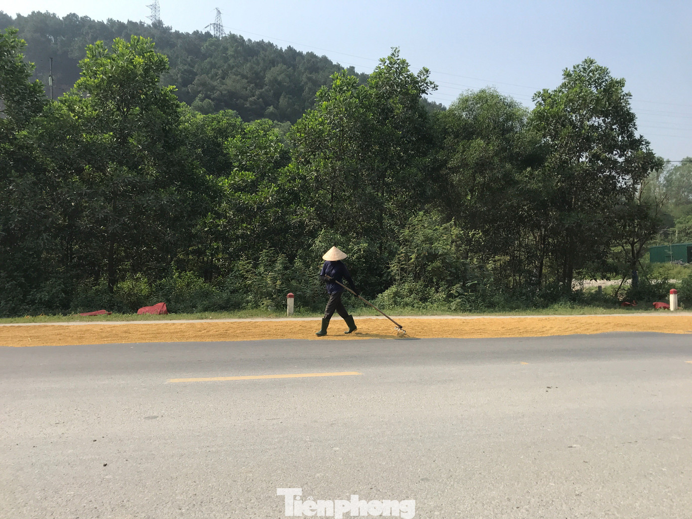 Một người dân trú xã Hưng Tây (Hưng Nguyên, Nghệ An) cho hay, ngày trước người dân gặt tay được ít, mỗi ngày phơi một ít thì có thể phơi ở sân nhà mình. Nhưng nay gặt máy, chỉ trong một ngày đã gặt hết cả nên không có nơi để phơi. "Đứng giữa quốc lộ phơi lúa, vừa nắng lại nguy hiểm nhưng không có nơi phơi nên đành phải chấp nhận", một người dân chia sẻ.