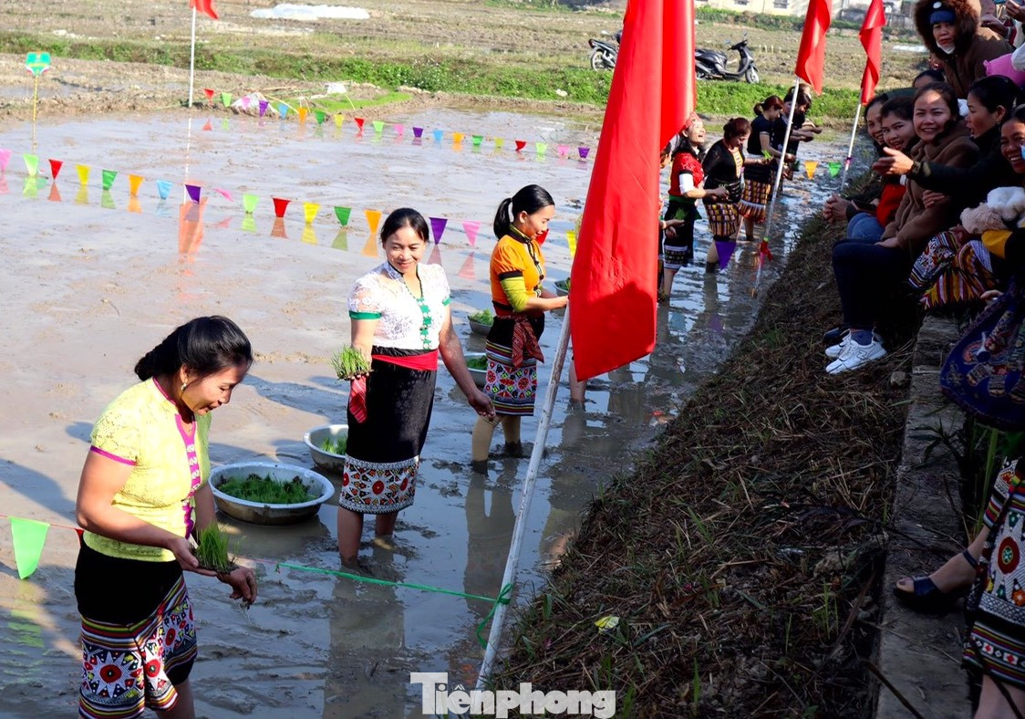 Dưới ruộng, các đội thi cạnh tranh nhau vô cùng quyết liệt, ai cũng muốn cấy thật nhanh để giành chiến thắng. Dưới ruộng, các đội thi cạnh tranh nhau vô cùng quyết liệt, ai cũng muốn cấy thật nhanh để giành chiến thắng.