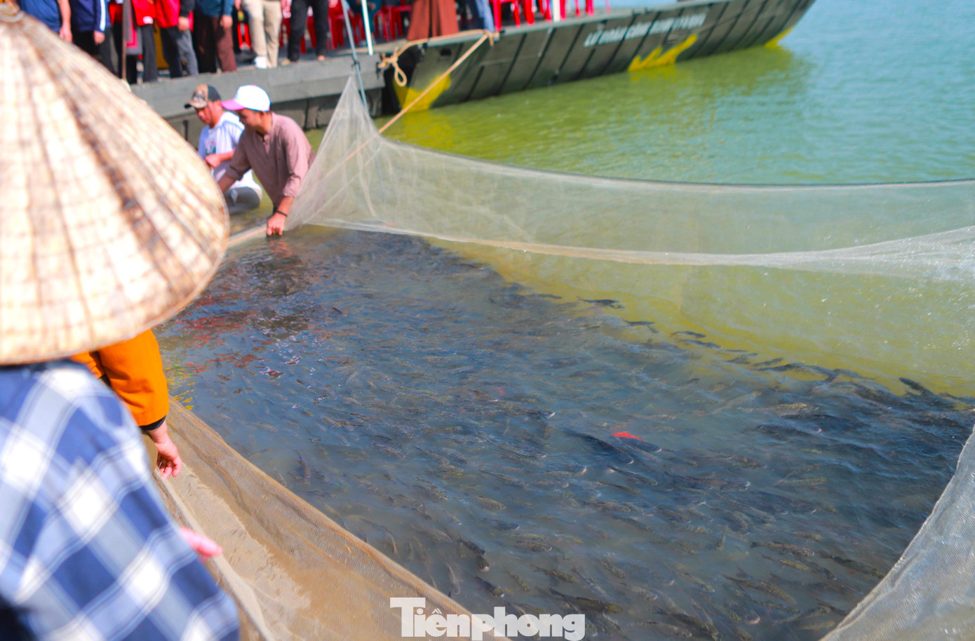 Lễ phóng sinh lần này đã thả hơn 10 tấn cá gồm nhiều loại như: Cá chép, cá mè, cá trôi.