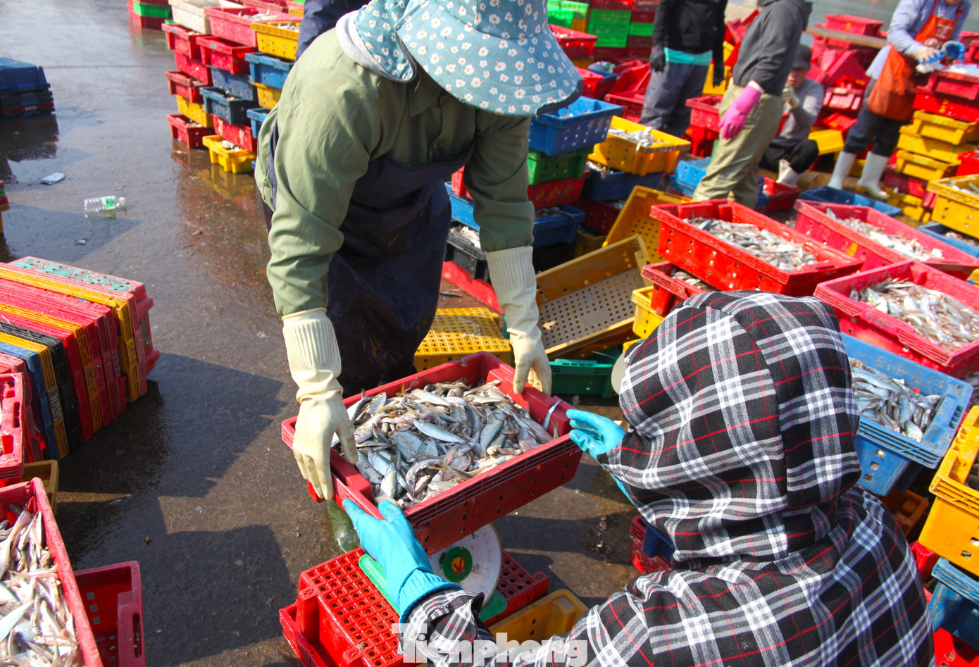 Tiền công sẽ được chủ tàu trả dựa vào số hàng đã làm. Với 1 tấn hàng làm được, những lao động này sẽ nhận 200 nghìn đồng tiền công. Tiền công sẽ được chủ tàu trả dựa vào số hàng đã làm. Với 1 tấn hàng làm được, những lao động này sẽ nhận 200 nghìn đồng tiền công.