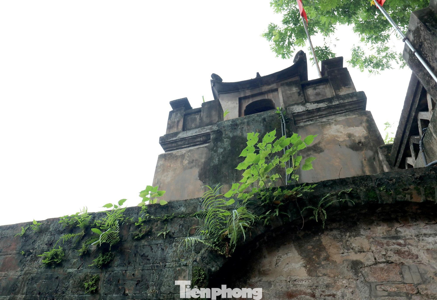 Trên những bức tường phủ kín rêu phong làm cho cửa ô thêm phần cổ kính. Trên những bức tường phủ kín rêu phong làm cho cửa ô thêm phần cổ kính.