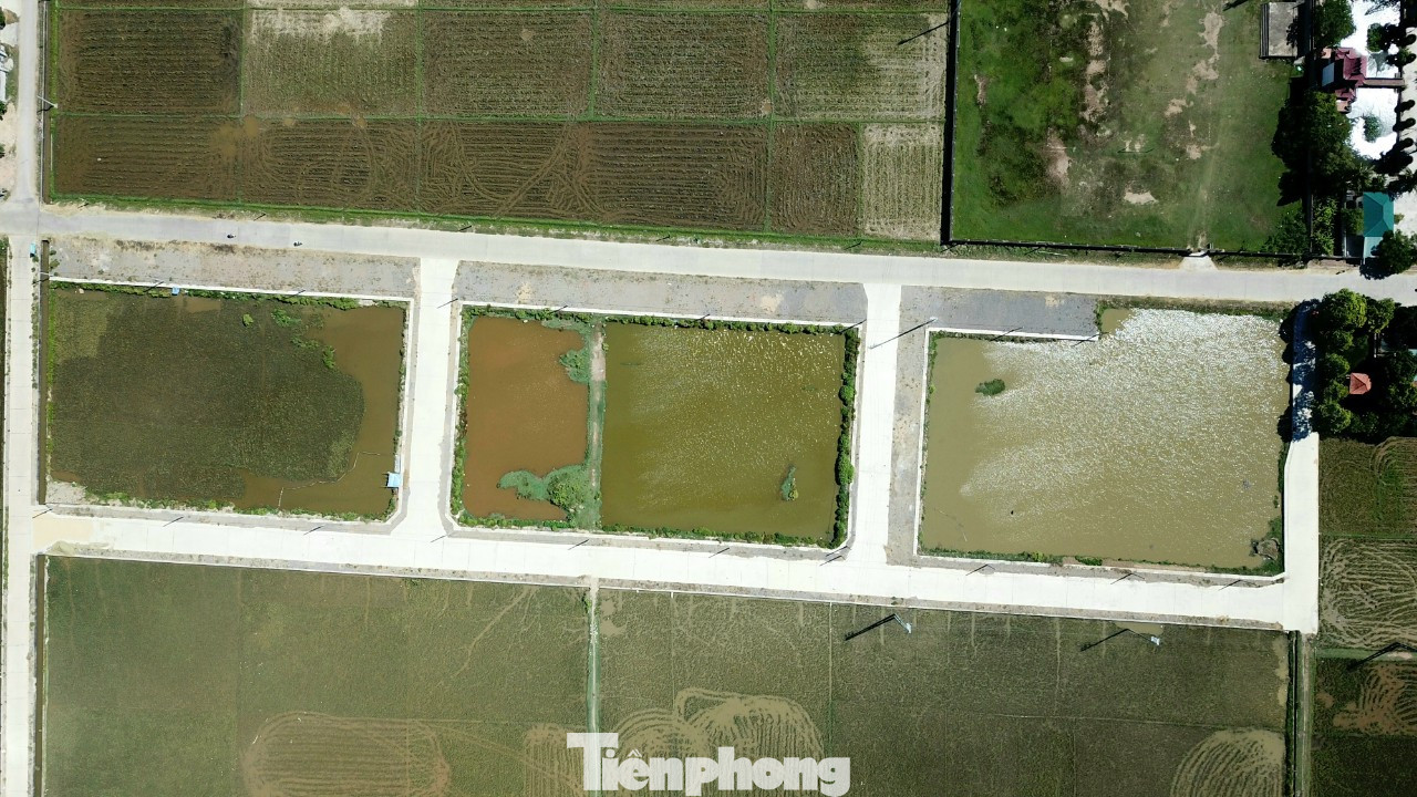 Trong 56 lô đất vừa đấu giá thì 23 lô đất được ông Nguyễn Văn Trọng (Công chức kế toán xã Quỳnh Bá) đấu trúng với giá hơn 30 tỷ đồng. Trong 56 lô đất vừa đấu giá thì 23 lô đất được ông Nguyễn Văn Trọng (Công chức kế toán xã Quỳnh Bá) đấu trúng với giá hơn 30 tỷ đồng.