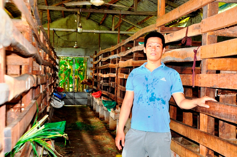 Quế có quyết định 'ngông' khi từ bỏ trường y về quê khởi nghiệp nuôi hươu sao