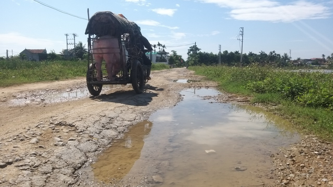Ông Nguyễn Sỹ Lực - Chủ tịch UBND xã Quỳnh Thạch cho biết, tuyến đường nối quốc lộ 1A qua xã Quỳnh Thạch với xã Quỳnh Hoa xuống cấp đã nhiều năm nay. Tại các cuộc họp, các cuộc tiếp xúc cử tri, người dân địa phương đều phản ánh về con đường này. Phía chính quyền xã cũng chỉ có thể báo cáo lên huyện nhưng đến nay vẫn chưa thể nâng cấp, sửa chữa được.
