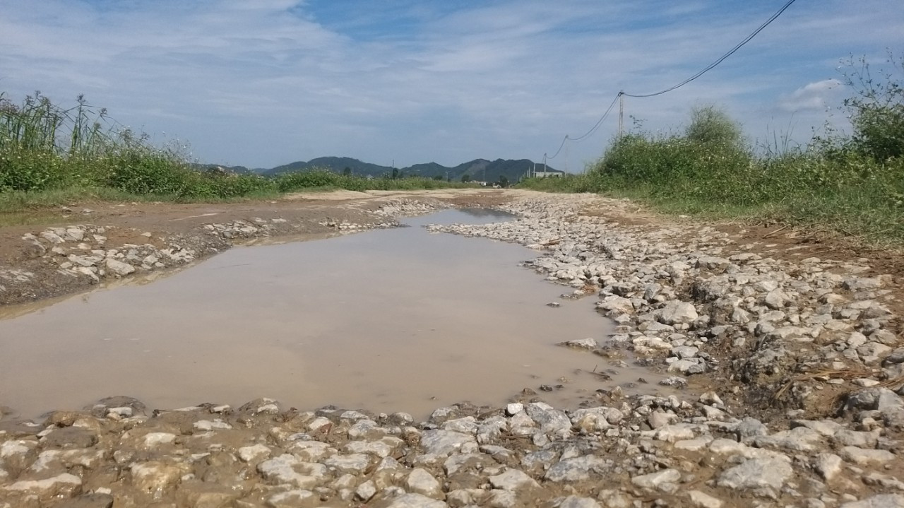 ... chằng chịt “ổ voi, ổ trâu”