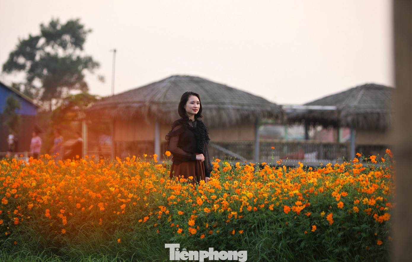 Chị Diễm Phước (30 tuổi, trú TP Hà Tĩnh) nói vào ngày cuối tuần thường cùng người thân đến cánh đồng hoa để trải nghiệm, thư giãn. "Ít có nơi nào yên tĩnh, trong lành và mang vẻ bình dị thôn quê giữa lòng thành phố như nơi này nên ai nấy đều yêu thích khi trải nghiệm", chị nói.