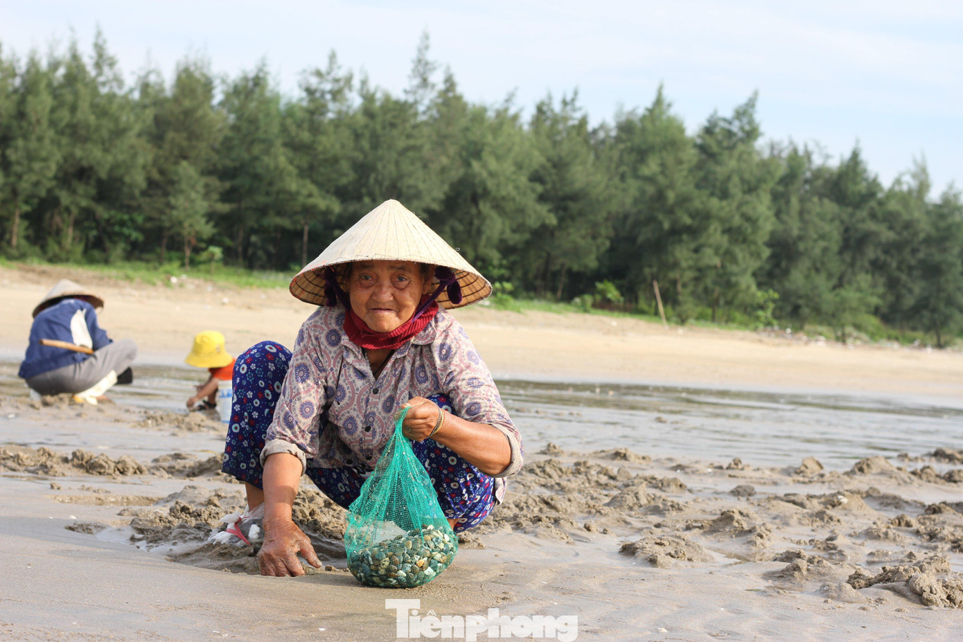 “Ngao thường trú ẩn trong lớp cát cạn nên cào ngao cũng chẳng mất sức mấy. Đôi khi du khách dùng tay không cũng kiếm được vài ký”, bà Quỳnh cho biết.