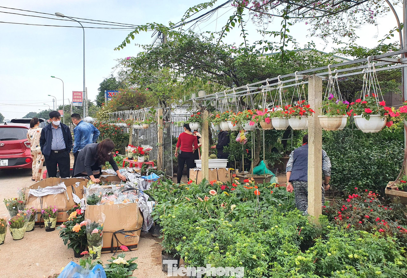 Làng hoa, cây cảnh Kim Chi (xã Nghi Ân, TP. Vinh, Nghệ An) được xem là thủ phủ của hoa, cây cảnh của TP.Vinh. Những ngày này, các nhà vườn nơi đây đã bắt đầu rực rỡ sắc xuân bởi muôn loài hoa khoe sắc.