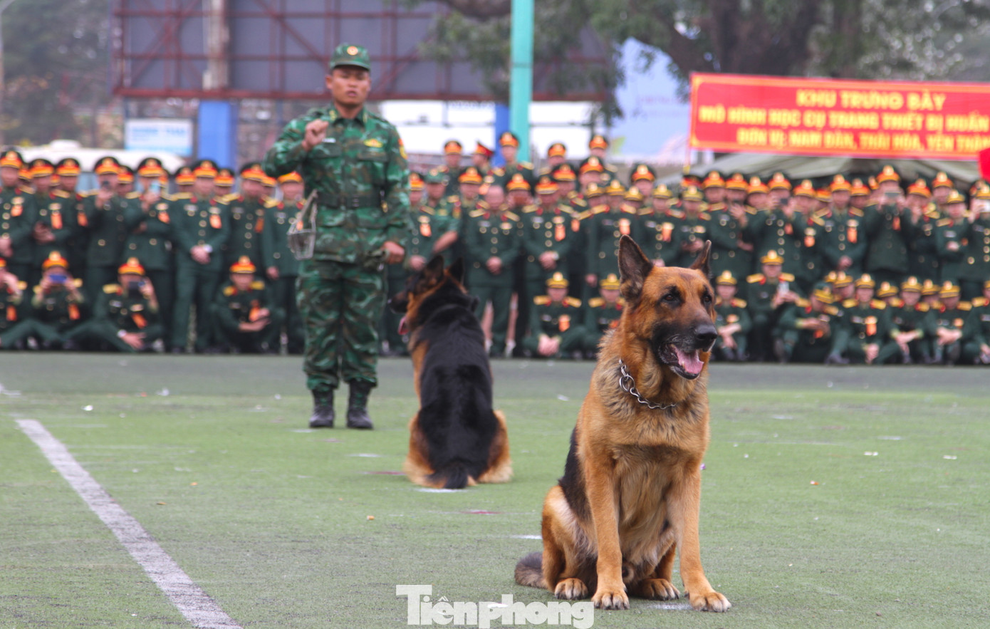 Biểu diễn huấn luyện cảnh khuyển.