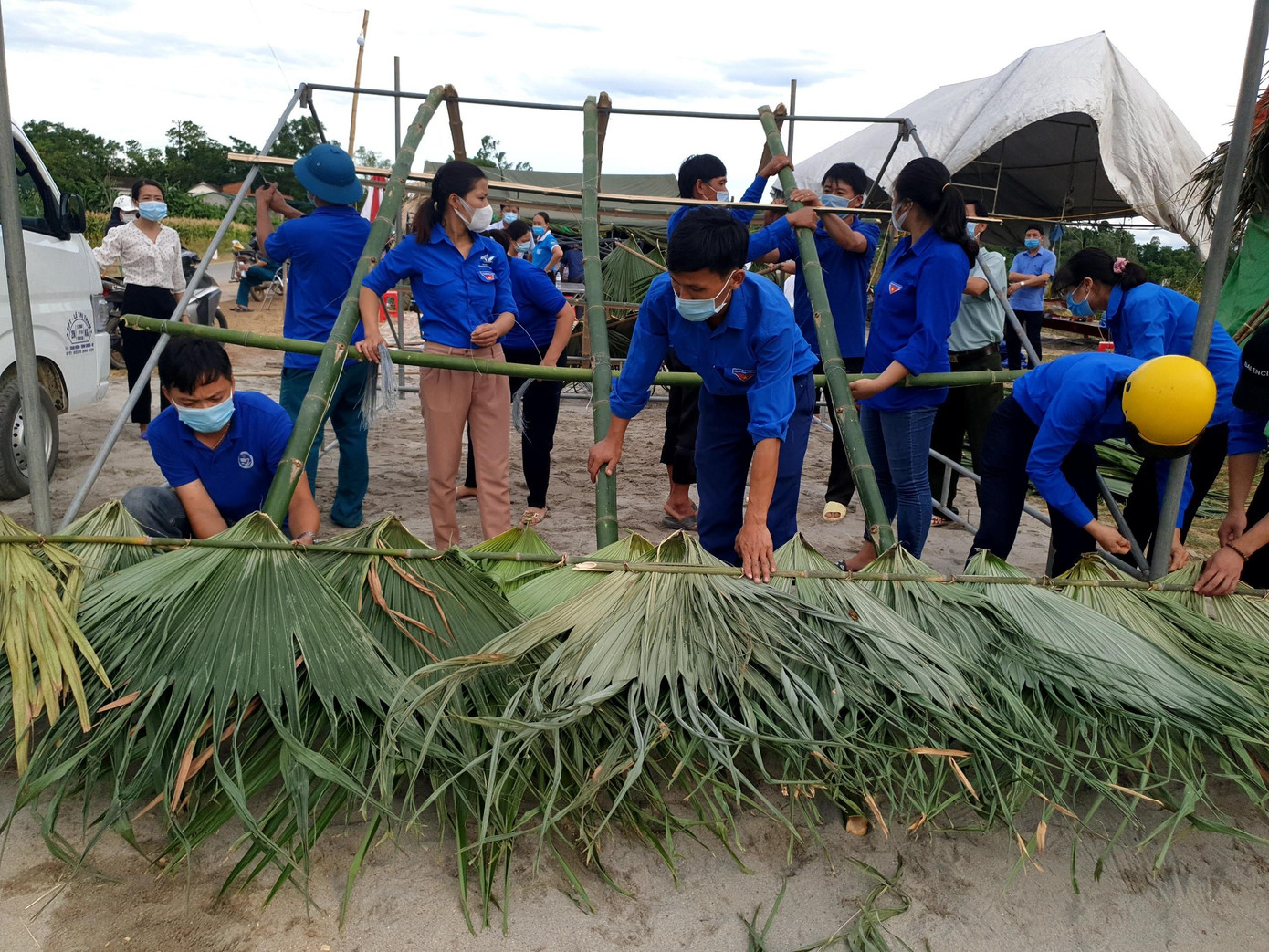 Từng lá cọ được gắn lên thanh tre làm thành mái lợp vững chãi.
