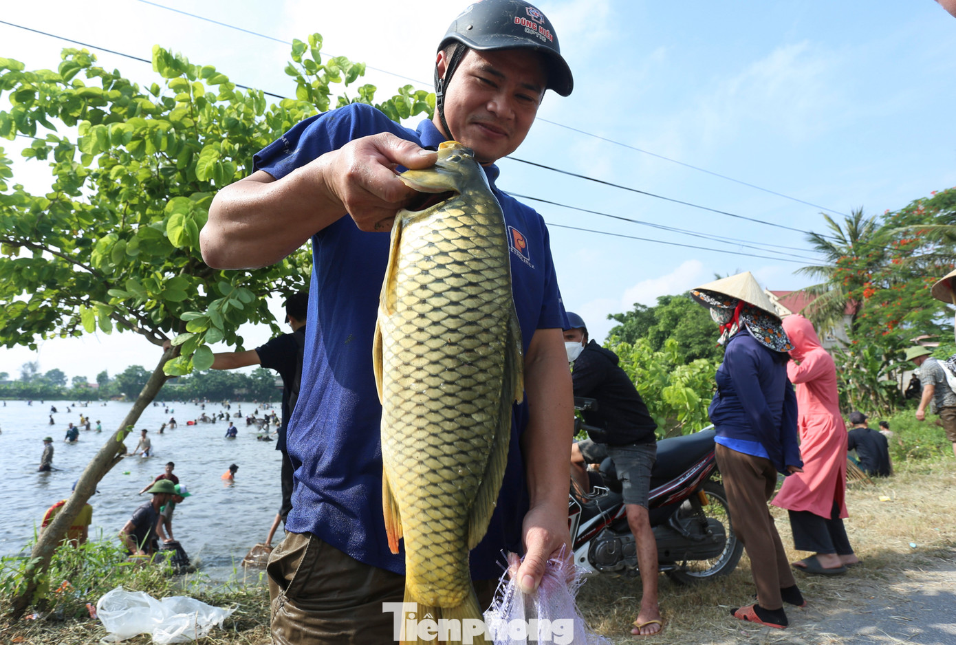 Các loại cá bắt được chủ yếu là cá lóc, trắm, chép, rô phi, mè…Dưới thời tiết bắt đầu nắng nóng, nơm thủ vui vẻ, tươi cười với thành quả đạt được. Nhiều người dân cũng đến mua cá do vừa được bắt lên khỏi hồ.