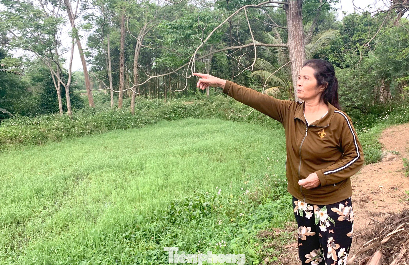 Bà Văn Thị Quý (SN 1962, trú xóm 5, xã Quỳnh Trang) cho biết, vợ chồng bà vẫn bám trụ tại nơi ở cũ cùng nhiều hộ dân khác bởi hiện đất ở của gia đình bà lớn gấp 5 lần so với đất được bố trí ở khu tái định cư.