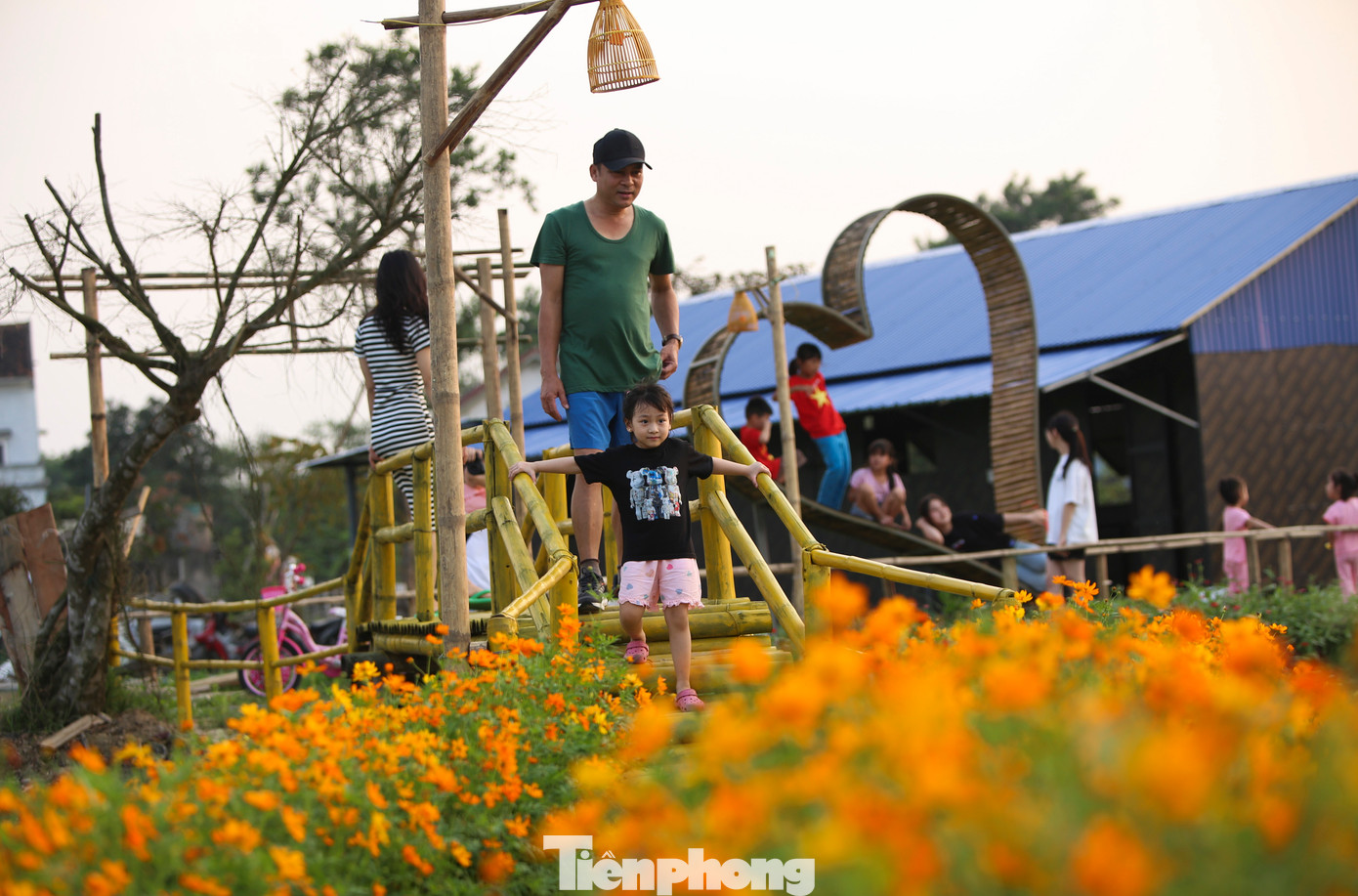 Buổi chiều và các ngày nghỉ, con đường hoa thu hút đông đảo người dân địa phương đến dạo bộ, chụp ảnh trải nghiệm. Nhiều cảnh quan được tạo ra trên các con đường ven cánh đồng, thu hút nhiều người check-in.