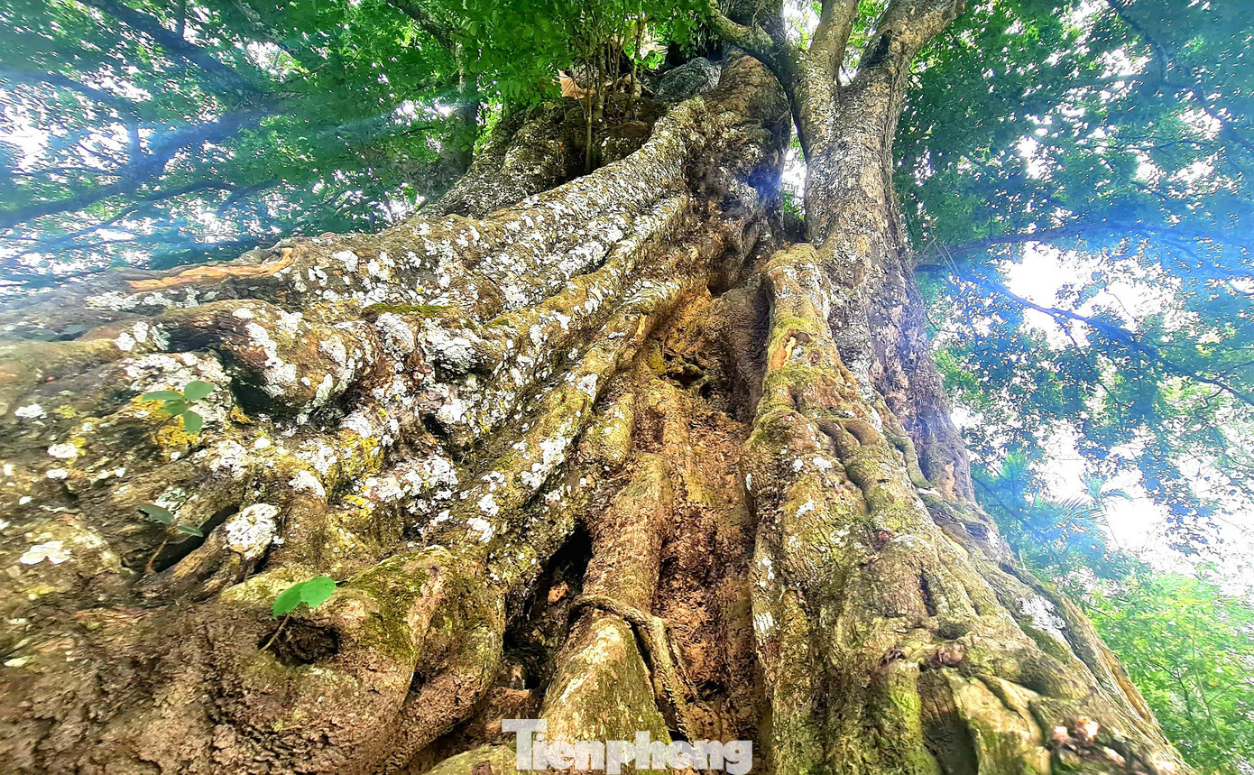 Trong những ngày này, mỗi gia đình làm một mâm cúng mang ra miếu thờ của bản cạnh cây thị và dâng lễ để cầu cho mưa thuận gió hoà, mùa màng tươi tốt… Trong những ngày này, mỗi gia đình làm một mâm cúng mang ra miếu thờ của bản cạnh cây thị và dâng lễ để cầu cho mưa thuận gió hoà, mùa màng tươi tốt…