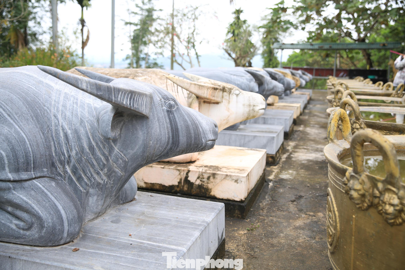 Khuôn viên đền Chín Gian rộng hơn 800 m2. Nổi bật nhất trong sân là tượng đá tạc 9 con trâu (gồm 6 con trâu đen, 3 con trâu trắng) hướng đầu nhìn vào đền.