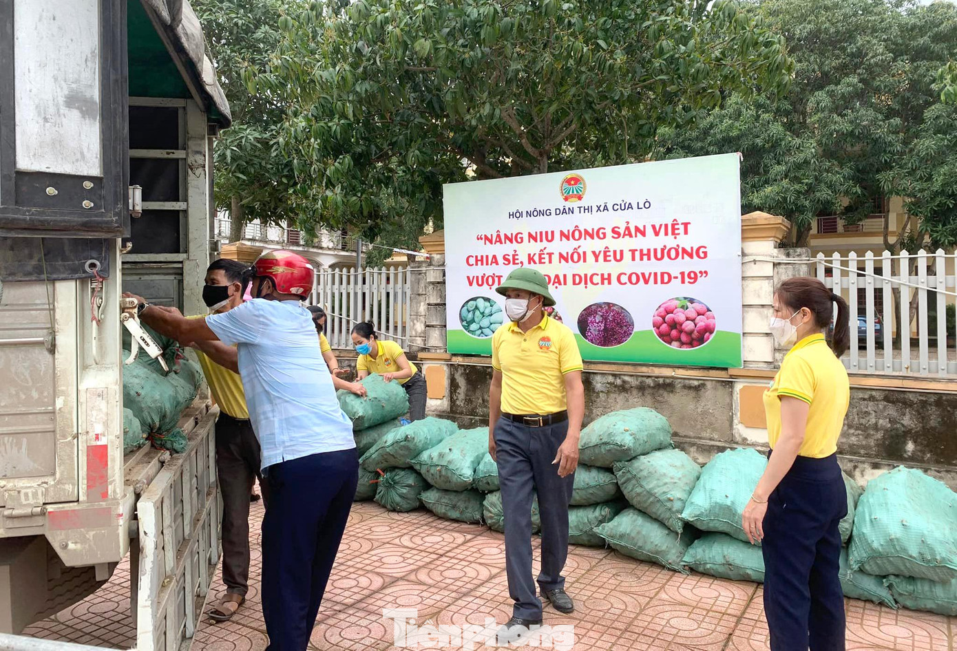 “Gần 1 tháng qua, hiện các đơn vị trên địa bàn tỉnh đã thu mua hơn 60 tấn gừng giúp người dân. Con số này vẫn còn rất ít so với số gừng còn tồn đọng. Hiện vẫn còn 4.500 tấn gừng, nếu hết tháng này không bán được thì gừng sẽ giảm chất lượng”, ông Mạnh nói. “Gần 1 tháng qua, hiện các đơn vị trên địa bàn tỉnh đã thu mua hơn 60 tấn gừng giúp người dân. Con số này vẫn còn rất ít so với số gừng còn tồn đọng. Hiện vẫn còn 4.500 tấn gừng, nếu hết tháng này không bán được thì gừng sẽ giảm chất lượng”, ông Mạnh nói.