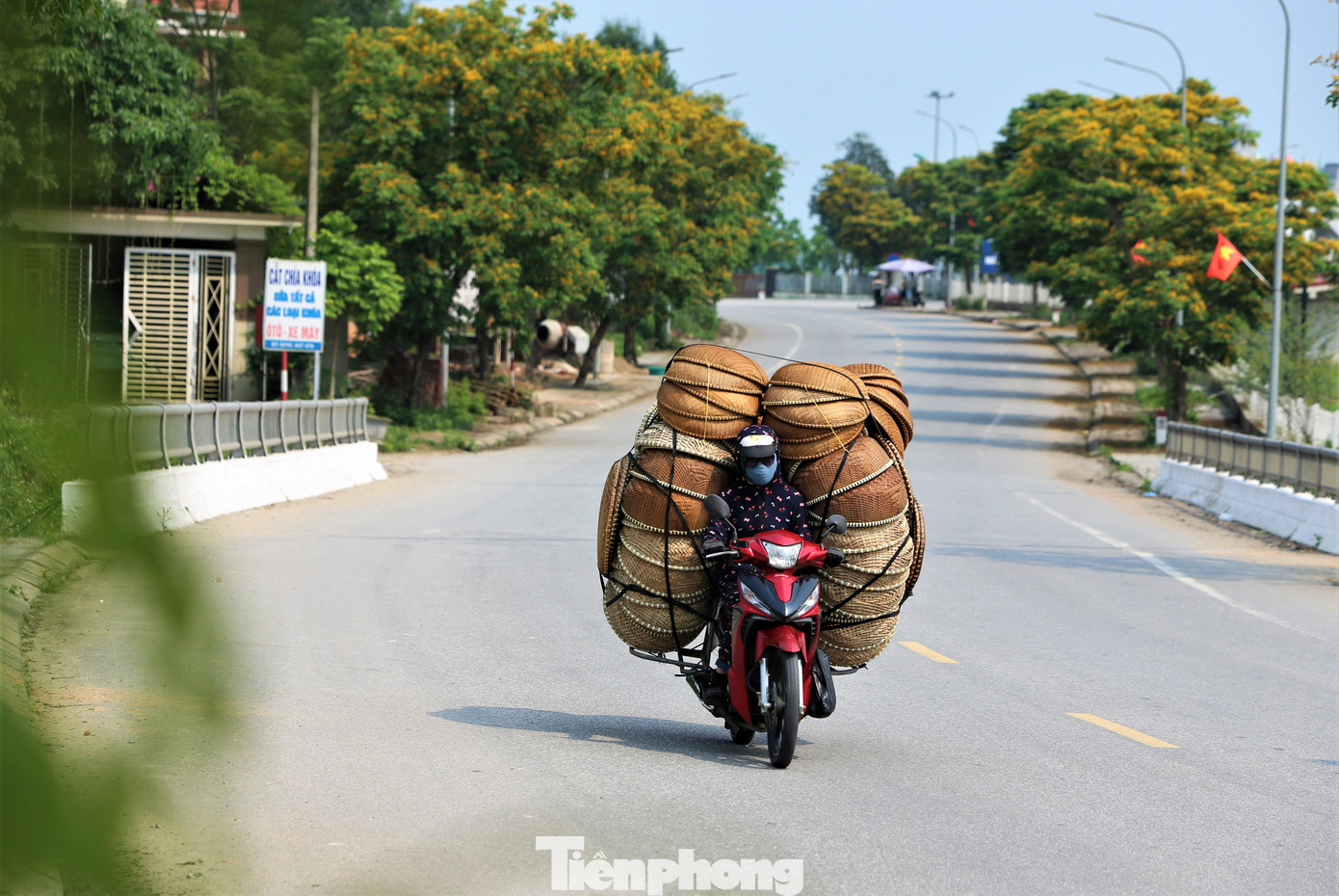 Theo quan niệm của người xưa, mùa hoa giáng hương nở rực rỡ cũng là mùa báo hiệu một năm mùa màng bội thu, mưa thuận gió hòa, người dân đầy đủ ấm no hạnh phúc. Gỗ của loại cây này có mùi thơm đặc trưng, bền đẹp nên rất được nhiều người yêu thích dùng trong những việc quan trọng.