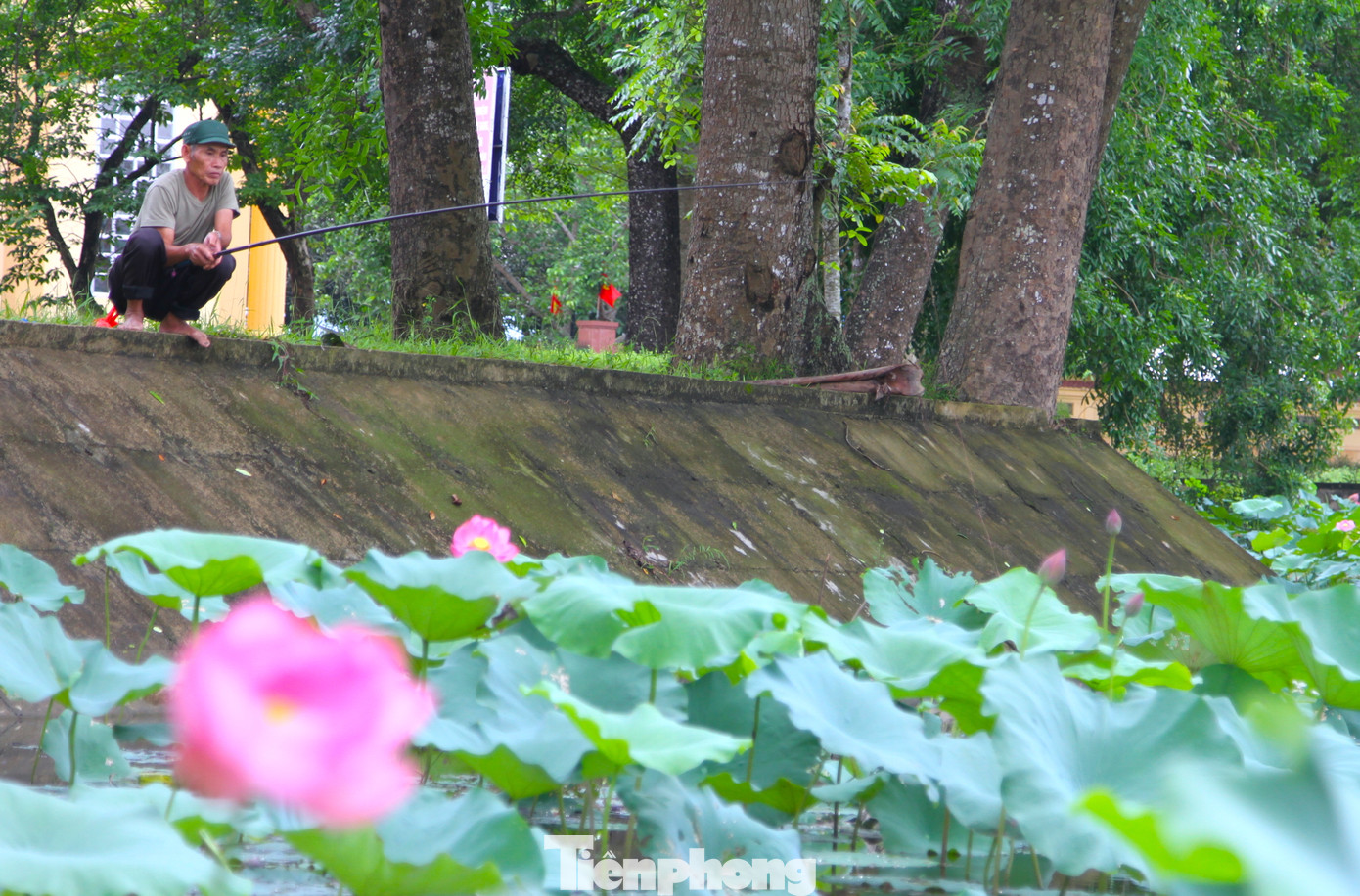 Trước đây có hai bàu sen, đây là những đầm lầy có sen mọc tự nhiên nên các cụ xưa gọi là Làng Sen.