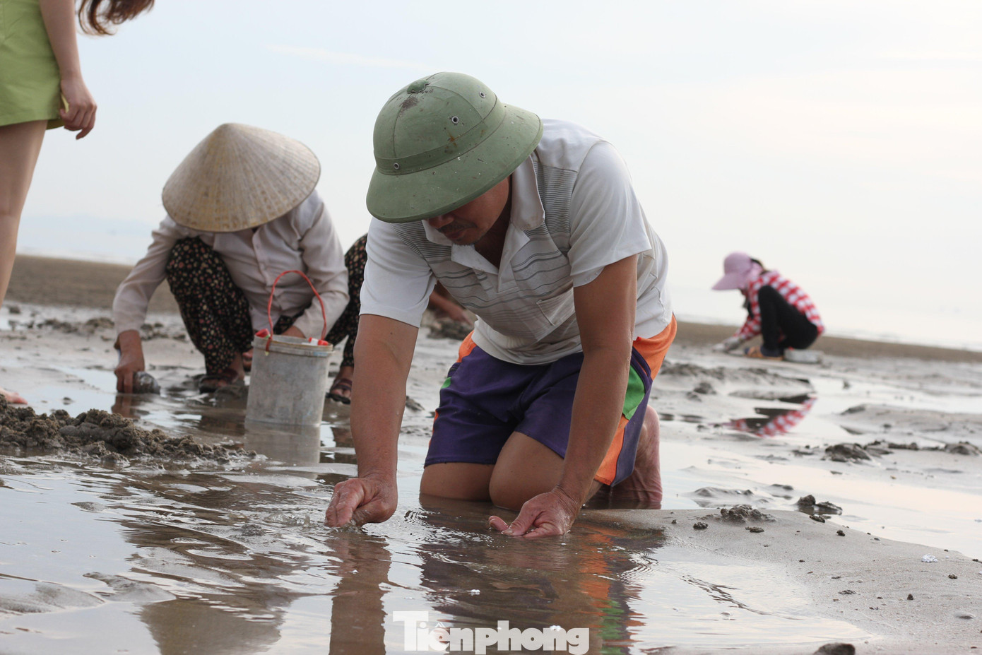 Anh Phạm Quang Tình (trú xã Quỳnh Bảng) nói rằng, thay vì sáng sớm đi tập thể dục, vợ chồng anh thường ra bãi biển vừa ngắm bình minh, hít thở không khí trong lành, vừa đào ngao. “Coi như hoạt động tí chân tay, tập thể dục buổi sáng. Vừa chơi vừa đào, 2 vợ chồng cũng bắt được vài kg về nấu ăn”, anh Tình nói.