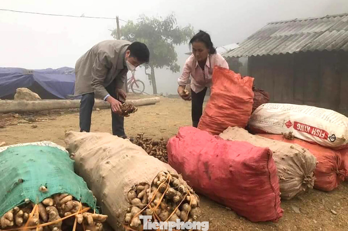 Để gỡ khó cho bà con nông dân, Hội Nông dân huyện Kỳ Sơn đã gửi thư ngỏ kêu gọi các cấp Hội Nông dân Việt Nam, các tổ chức, đơn vị, các doanh nghiệp hỗ trợ tiêu thụ sản phẩm gừng Kỳ Sơn. Để gỡ khó cho bà con nông dân, Hội Nông dân huyện Kỳ Sơn đã gửi thư ngỏ kêu gọi các cấp Hội Nông dân Việt Nam, các tổ chức, đơn vị, các doanh nghiệp hỗ trợ tiêu thụ sản phẩm gừng Kỳ Sơn.