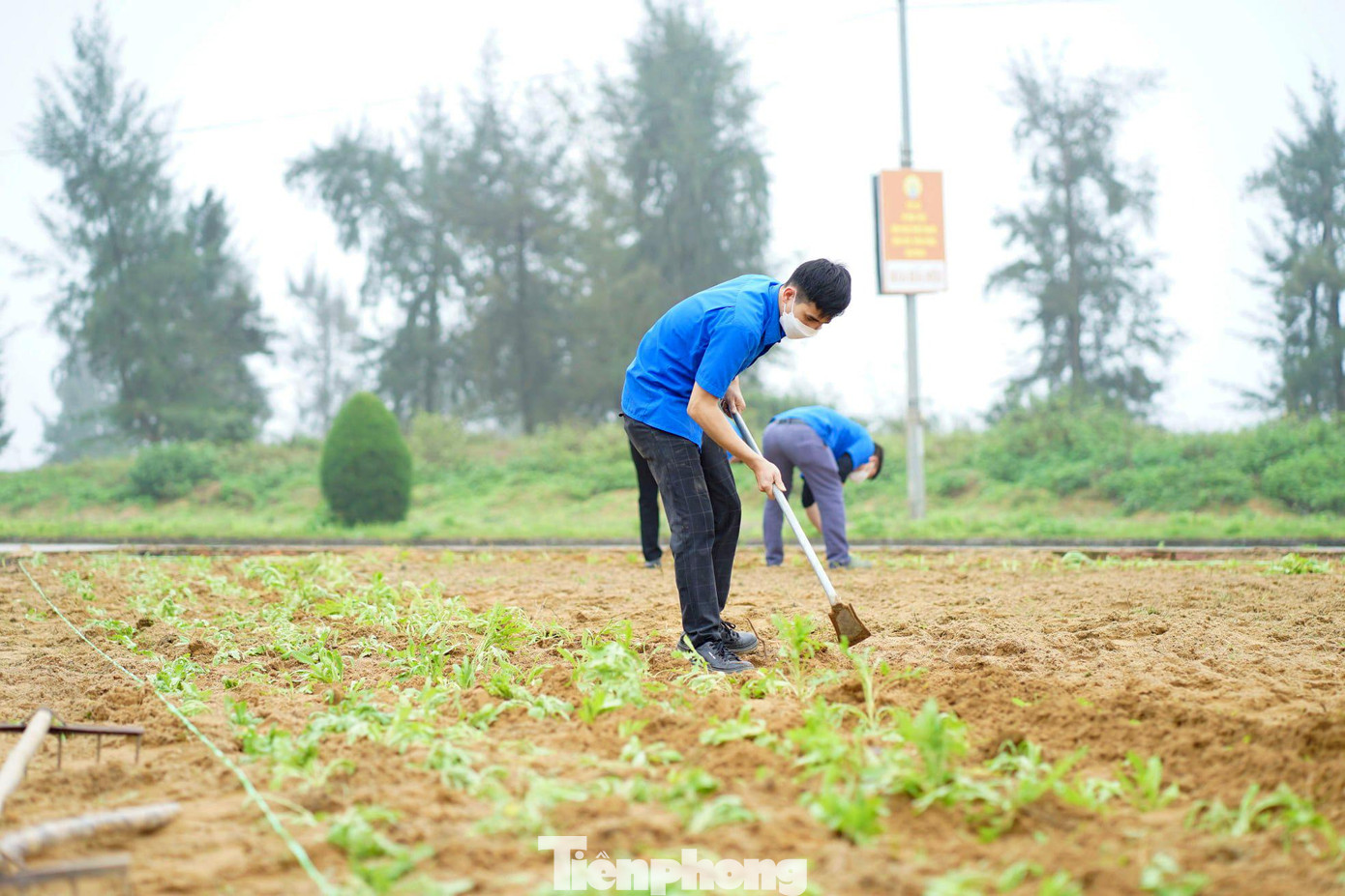 Ngoài ra, phố biển Cửa Lò cũng sẽ nhân rộng mô hình tại các cơ quan, trường học, các khách sạn, nhà nghỉ, hai bên các trục đường chính và tại các khu dân cư trên địa bàn.