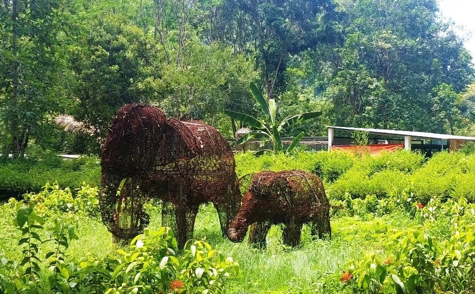 Cặp voi mẹ con được làm từ 15.000 chiếc bẫy thú trưng bày trong khuôn viên Vườn quốc gia Pù Mát
