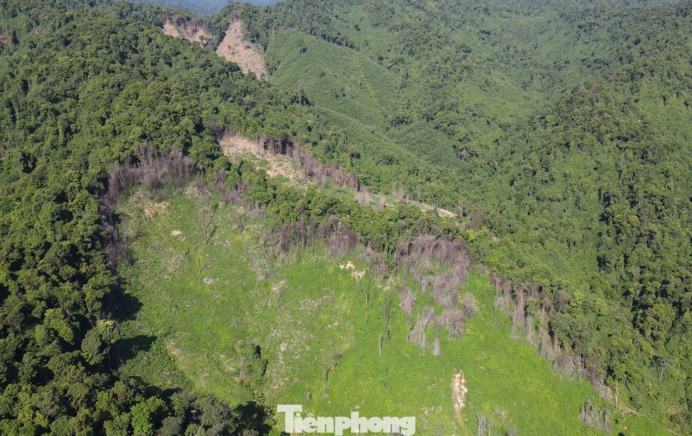 Nhiều diện tích rừng phòng hộ giáp ranh rừng sản xuất của các hộ dân được giao khoán bị đốt cháy, chặt hạ.