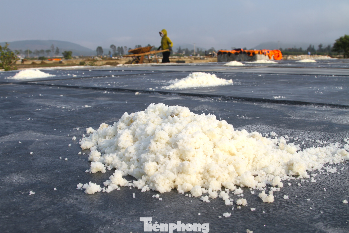 Theo những diêm dân, nghề muối rất khó khăn, hiện 1kg muối chỉ có giá 2.000 đồng. Mỗi ngày, một người làm từ sáng đến tối nhiều nhất cũng chỉ thu được khoảng 1-2 tạ muối, bán được với giá khoảng 400 nghìn đồng.