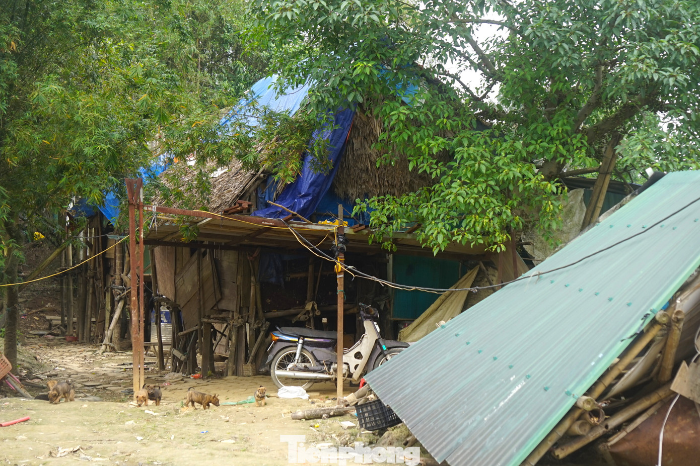 Nhà các hộ dân dựng trên bờ tạm bợ, được chằng vá bởi những tấm bạt đã rách nát.