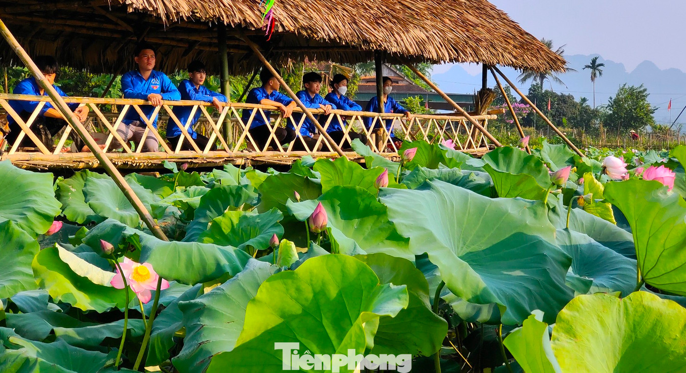 Ở đầm sen và điểm check in, các đoàn viên cũng kết hợp làm dịch vụ ăn uống phục vụ du khách.