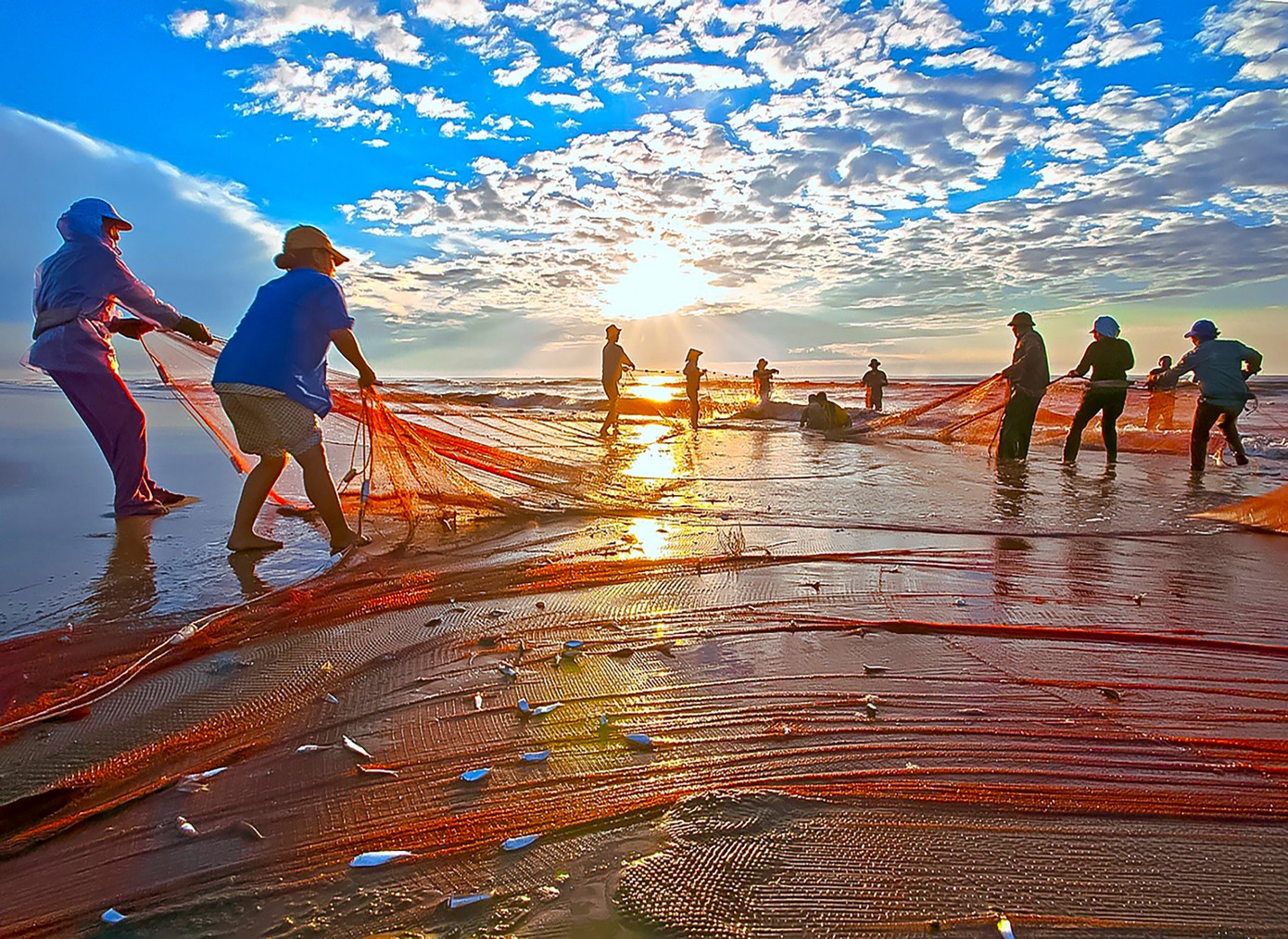 Về đây, du khách có thể cùng tham gia kéo lưới với những ngư phủ thuần phác vào mỗi lúc bình minh. Nếu muốn, du khách cũng có thể ngồi xe điện- 1 phương tiện giao thông nội thị có nhiều ở Cửa Lò để tham quan bến cá và hoà mình vào không khí sống động của 1 làng chài vào mỗi sáng mai khi thuyền cập bến.