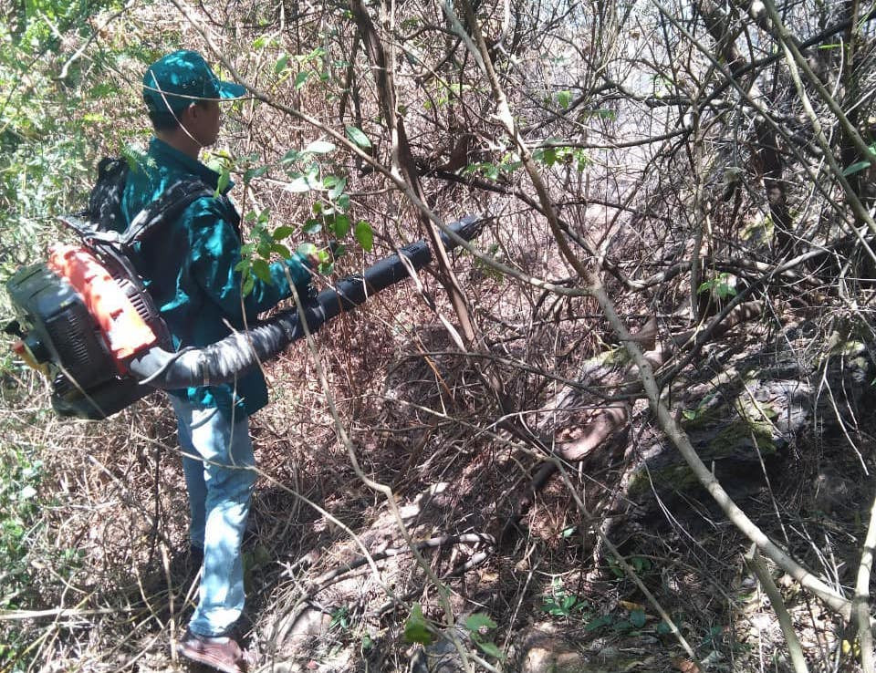 Hơn 250 người đang tiếp tục dập lửa đám cháy rừng. Hơn 250 người đang tiếp tục dập lửa đám cháy rừng.