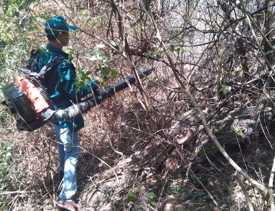 Hơn 250 người đang tiếp tục dập lửa đám cháy rừng.