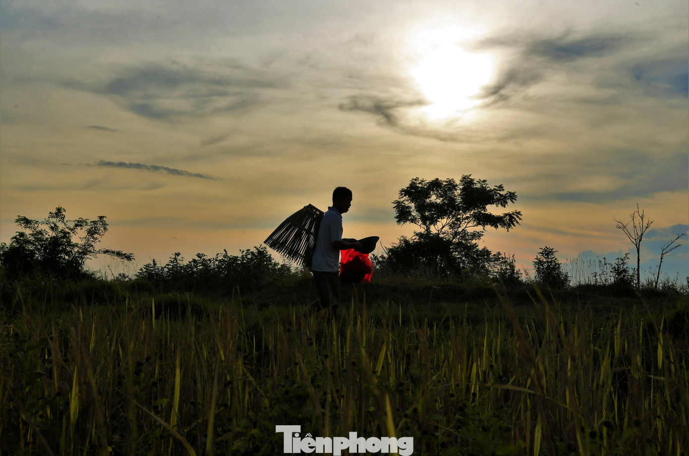 Lễ hội được tổ chức vào khoảng tháng 4-5 âm lịch, khi người dân đã xong mùa màng. Từ sáng sớm, người dân trong vùng và khu vực lân cận đã chuẩn bị dụng cụ đánh bắt cá từ lưới, nơm, vó... đi ra khu vực đầm Vực để tham gia lễ hội.