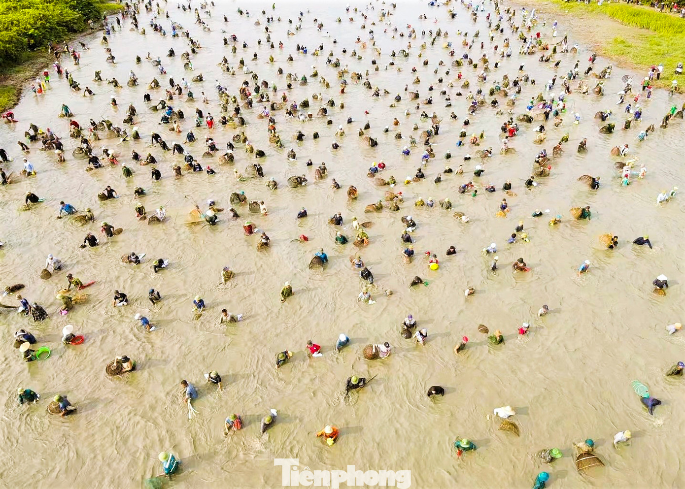 Đây là một trong ba lễ hội đánh cá truyền thống ở Việt Nam còn lưu giữ được đến ngày nay (lễ hội đánh cá thờ ở Phong Châu - Phú Thọ; lễ hội đánh cá làng Me ở huyện Phúc Thọ - Hà Nội). Riêng Hội đánh Vực ở xã Xuân Viên đã tồn tại gần 300 năm.