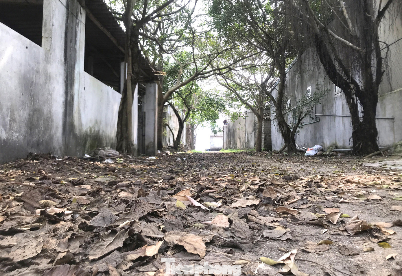 “Sắp tới dự án đường cao tốc ven biển đi qua, địa phương sẽ giải phóng mặt bằng, giải tỏa một số ki ốt bám mặt biển. Chính quyền sẽ kêu gọi nhà đầu tư làm khu du lịch quy mô để thu hút khách về địa phương”, ông Phan Văn Thuyên - Chủ tịch UBND xã Diễn Hải cho biết.