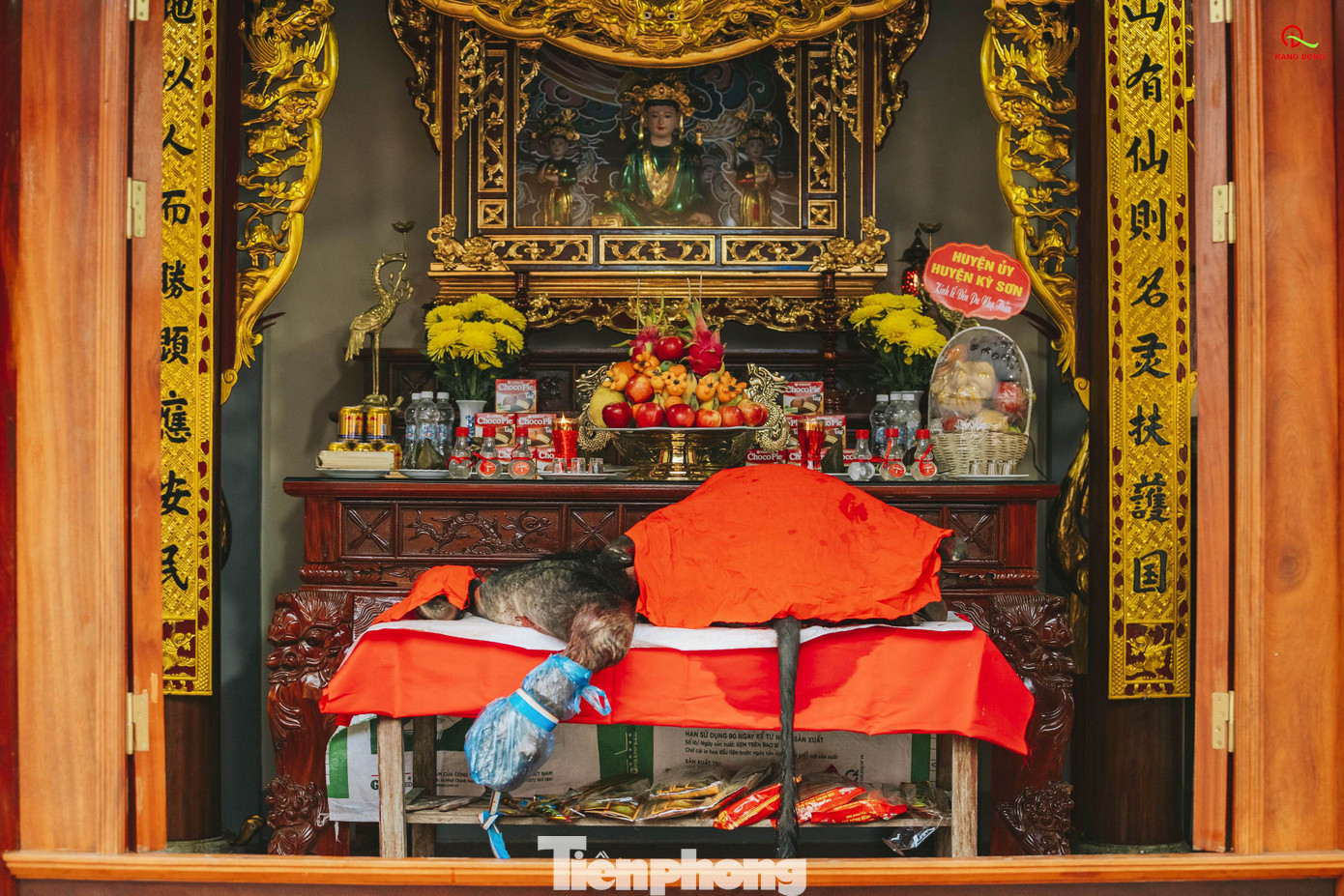 Đền Pu Nhạ Thầu nằm ở xã Hữu Kiệm (huyện Kỳ Sơn, Nghệ An), nơi thờ danh tướng Đoàn Nhữ Hài và bà mẹ nuôi quân của ông. Tương truyền, xưa kia danh tướng Đoàn Nhữ Hài đến vùng đất này lập đại bản doanh, rèn binh. Một người mẹ già trong bản đã tiếp tế lương thực và vận động mọi người gia nhập nghĩa quân. Trong quá trình đánh giặc, danh tướng Đoàn Nhữ Hài hy sinh. Người mẹ nuôi quân sau đó cũng không còn. Tưởng nhớ công lao to lớn, người dân bản Na Lượng (xã Hữu Kiệm) đã lập đền thờ và thường gọi tên là Pu Nhạ Thầu. (Ảnh: Rạng Đông). Đền Pu Nhạ Thầu nằm ở xã Hữu Kiệm (huyện Kỳ Sơn, Nghệ An), nơi thờ danh tướng Đoàn Nhữ Hài và bà mẹ nuôi quân của ông. Tương truyền, xưa kia danh tướng Đoàn Nhữ Hài đến vùng đất này lập đại bản doanh, rèn binh. Một người mẹ già trong bản đã tiếp tế lương thực và vận động mọi người gia nhập nghĩa quân. Trong quá trình đánh giặc, danh tướng Đoàn Nhữ Hài hy sinh. Người mẹ nuôi quân sau đó cũng không còn. Tưởng nhớ công lao to lớn, người dân bản Na Lượng (xã Hữu Kiệm) đã lập đền thờ và thường gọi tên là Pu Nhạ Thầu. (Ảnh: Rạng Đông).