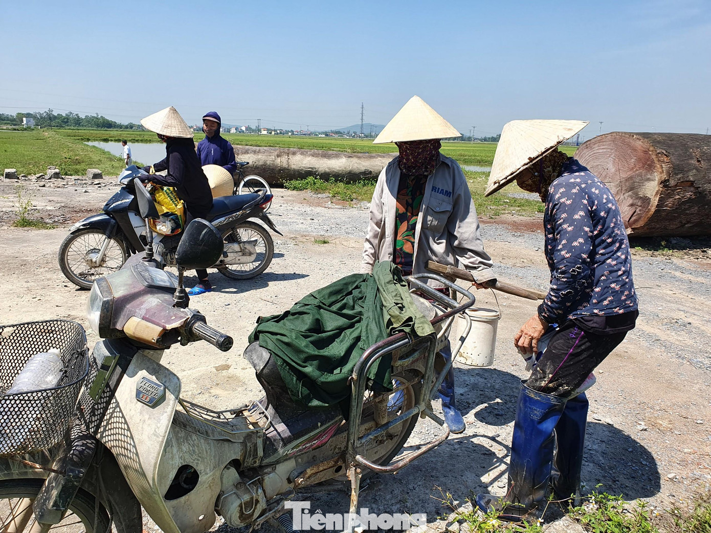 Phần lớn cua đồng sau khi mua sẽ được bán cho các nhà hàng, khách sạn ở TP.Vinh và các tỉnh thành phía Bắc. Thời tiết nắng nóng, cua đồng ngày càng được ưa chuộng, bởi thế hầu như phần lớn ngày nào nguồn cung cũng không đủ nhu cầu.