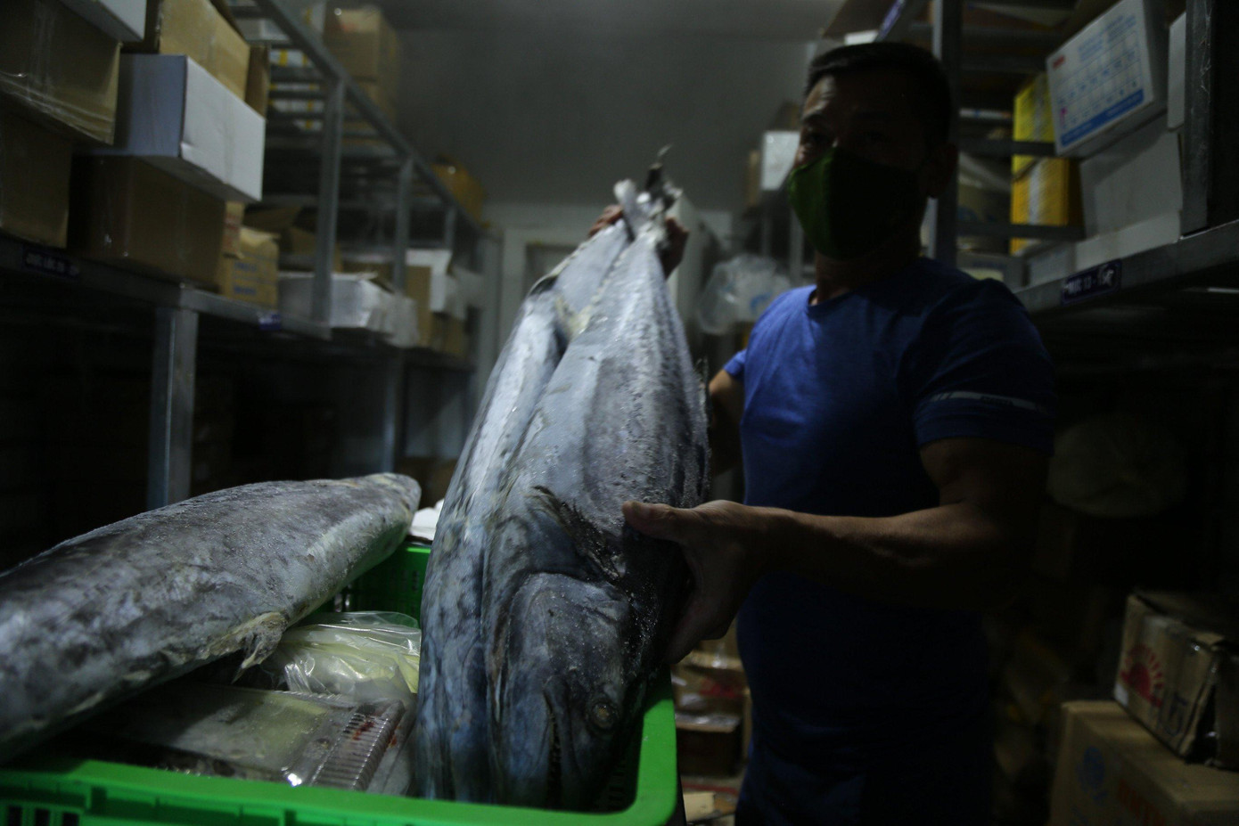 Hơn chục năm trong nghề, anh Phạm Văn Quyết (trú TX. Cửa Lò) cho hay, bản thân chưa bao giờ rơi vào hoàn cảnh khó khăn như hiện nay. Hiện 2 kho đông lạnh của gia đình đang trữ hơn 100 tấn hải sản các loại.